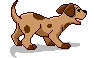 Kutyák animált GIF
